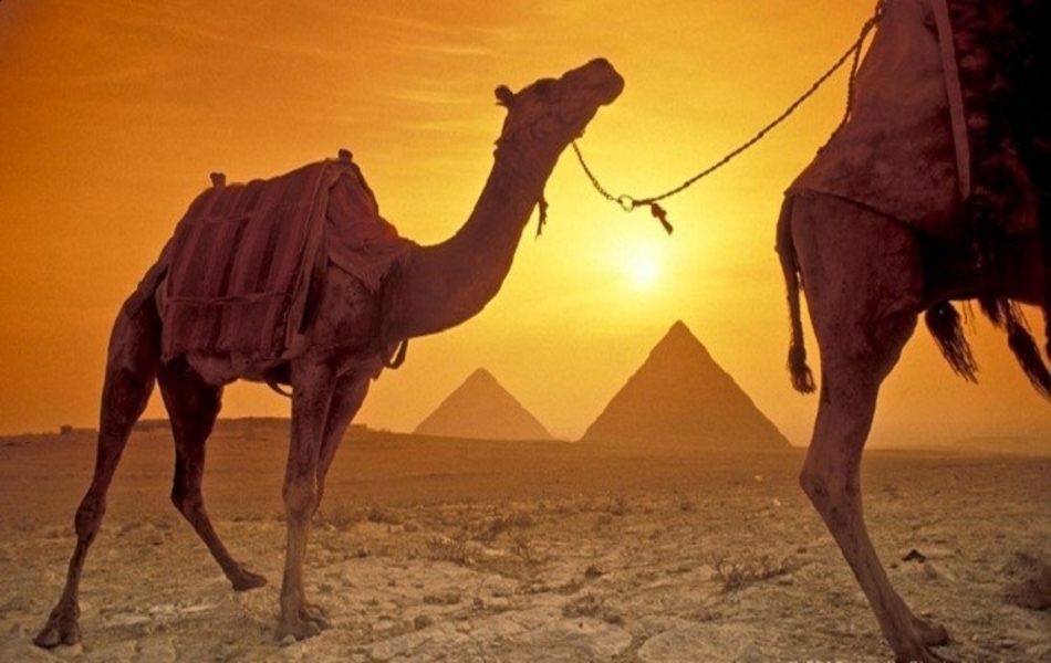 Explore The Sunset or Sunrise at Giza Pyramids  